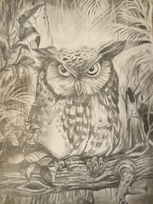 Pencil Drawings - Owl in the Jungle