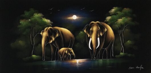 Sri Lankan Beautiful Elephant Family